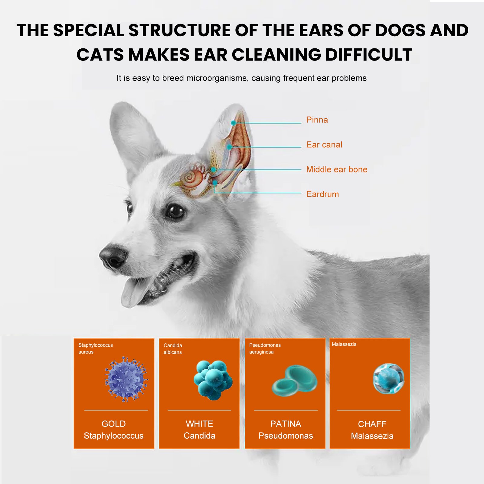 Pet Ear Wipes, Pet Ear Cleaning Deodorizing Removing Mite And Earwax Cleaning Wipes - Image 4