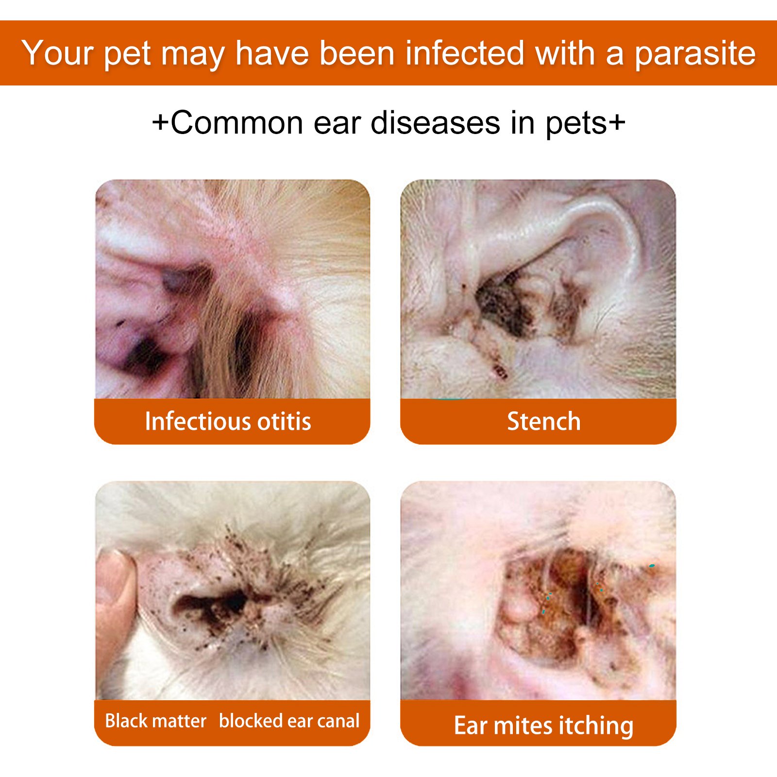 Pet Ear Wipes, Pet Ear Cleaning Deodorizing Removing Mite And Earwax Cleaning Wipes - Image 3